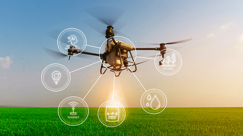 Agriculture drone fly to sprayed fertilizer on the fields, Smart farm 4.0 concept, artificial intelligence combine deep, machine learning, digital twin, 5G, industry 4.0 technology to improve